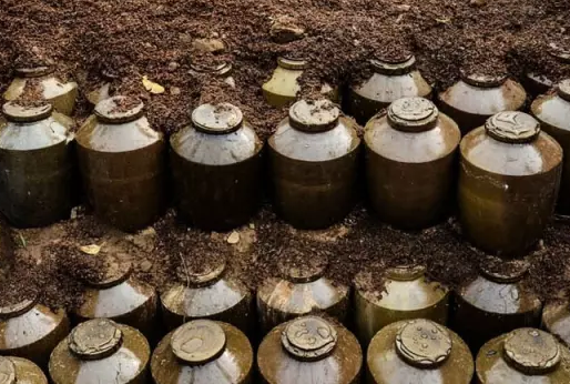 女儿红是哪里的特产