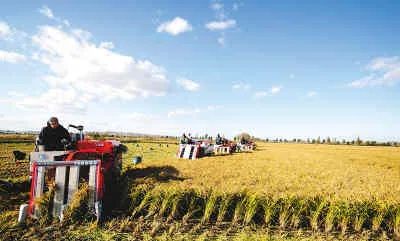 三江平原湿地在哪个省份