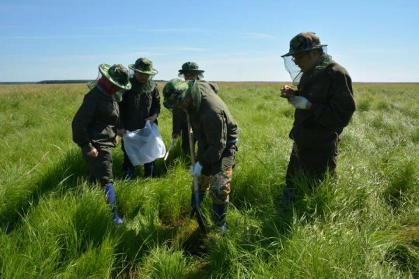 三江平原湿地在哪个省份