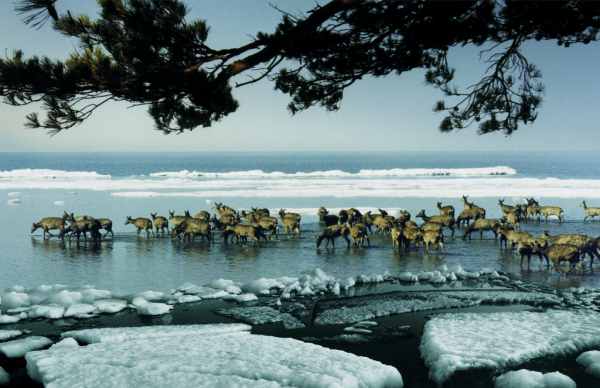 三江平原湿地在哪个省份