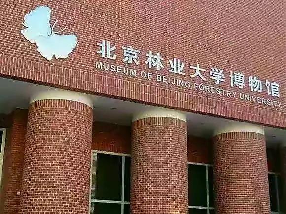 北京林业大学算名校吗