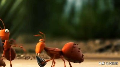 蚂蚁的特点和生活特征和外形 为什么说蚂蚁是大力士