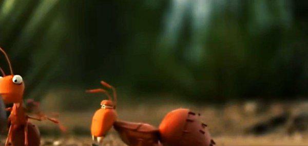 蚂蚁的特点和生活特征和外形