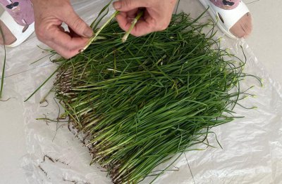 韭菜怎么冷冻长期保存 让韭菜保鲜的储存方法分享