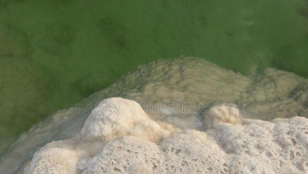 死海在哪个国家