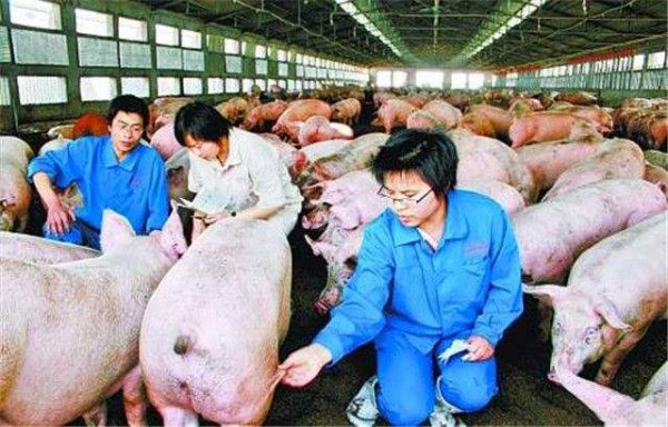 中国财富排名前十