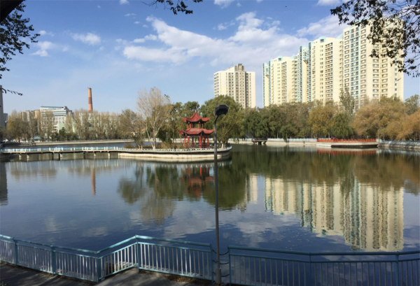 540分能考上什么大学