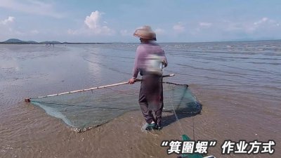 基围虾是什么虾 基围虾是指虾的品种还是养虾的方式