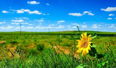 内蒙古自治区的简称 为什么内蒙古自治区的简称有三个字