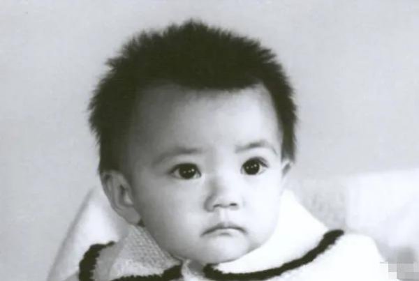 演员高圆圆个人简历资料