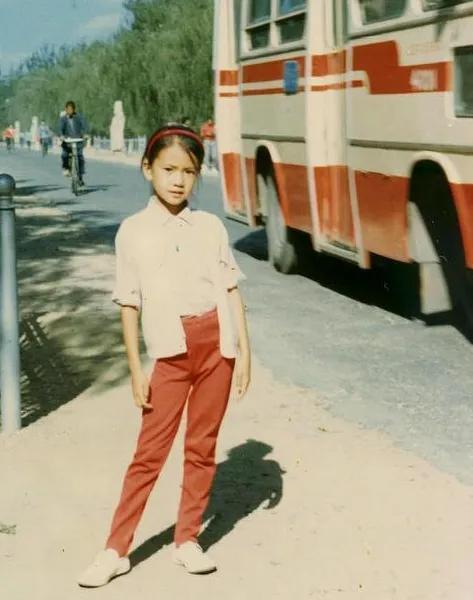 演员高圆圆个人简历资料