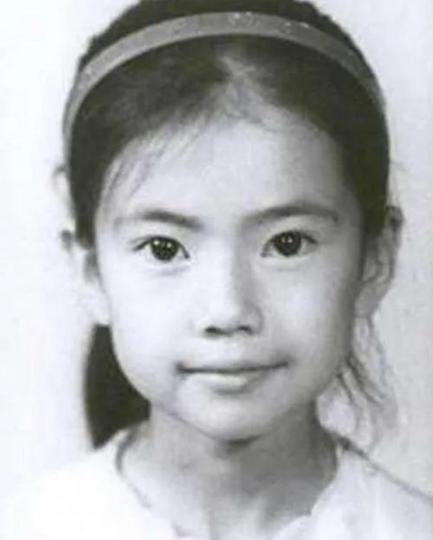 演员高圆圆个人简历资料