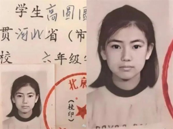 演员高圆圆个人简历资料