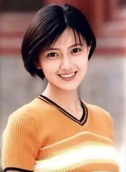 演员高圆圆个人简历资料