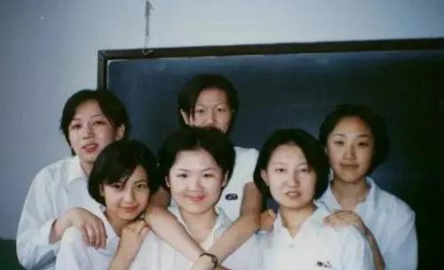 演员高圆圆个人简历资料