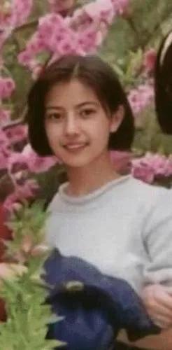 演员高圆圆个人简历资料