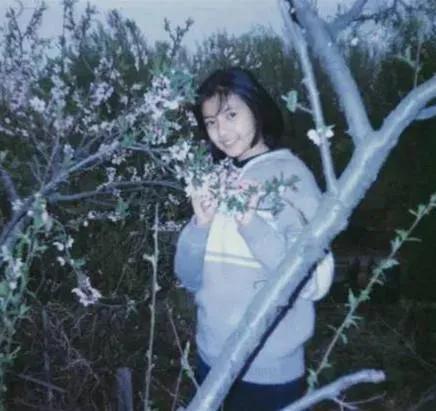 演员高圆圆个人简历资料