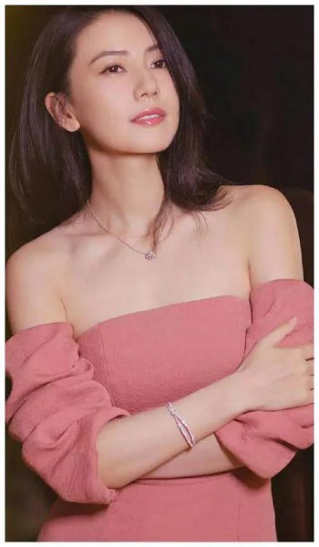 演员高圆圆个人简历资料