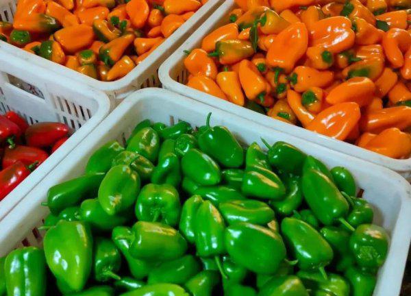 霜霉病严重了用什么药