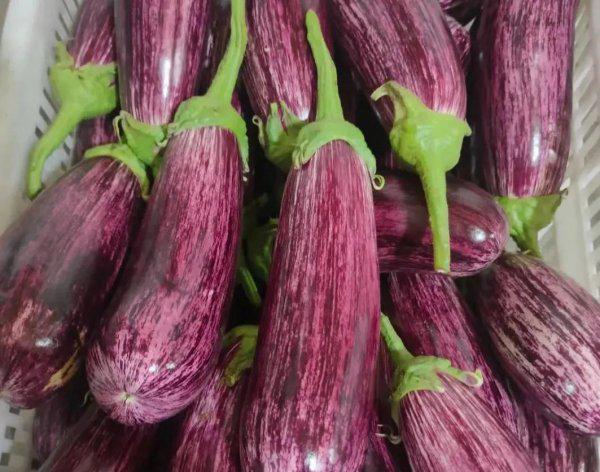 霜霉病严重了用什么药