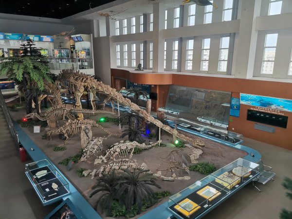 化石的形成过程