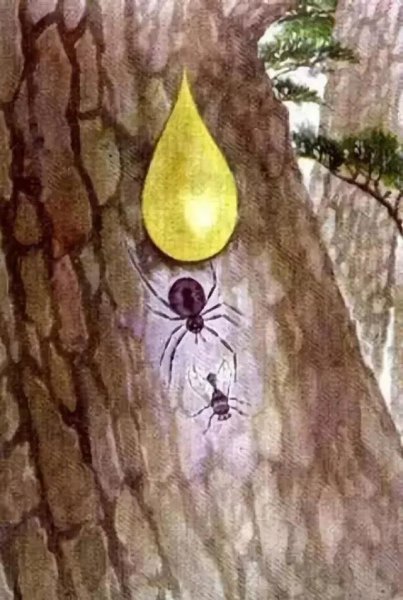 化石的形成过程