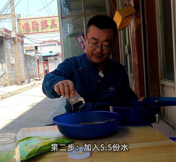 小黄面和什么搭配钓鲤鱼