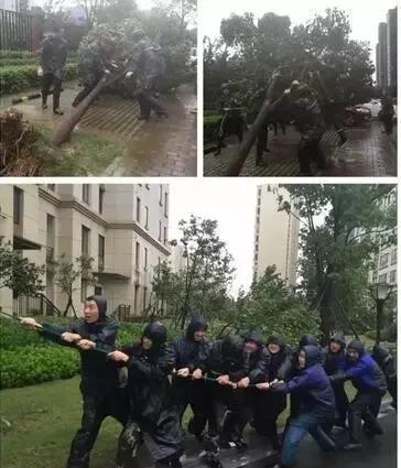 小区物业是什么意思