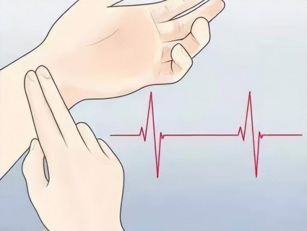 脉冲是什么意思