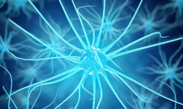 脉冲是什么意思