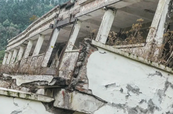 鱼为什么会跳出水面