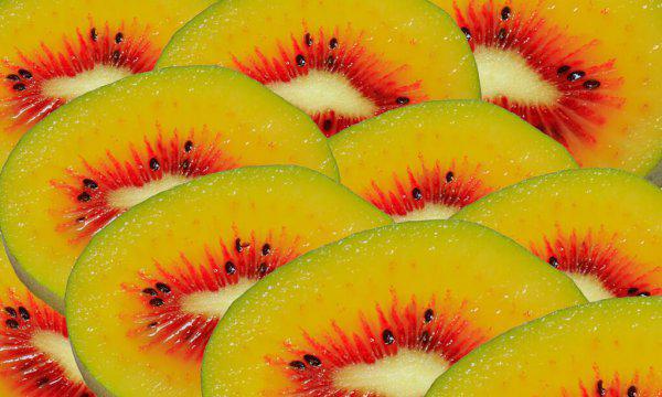 猕猴桃果实成熟期在什么时候