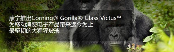 水凝膜和钢化膜哪个防摔效果好