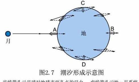 涨潮和落潮的主要原因是由什么引起的