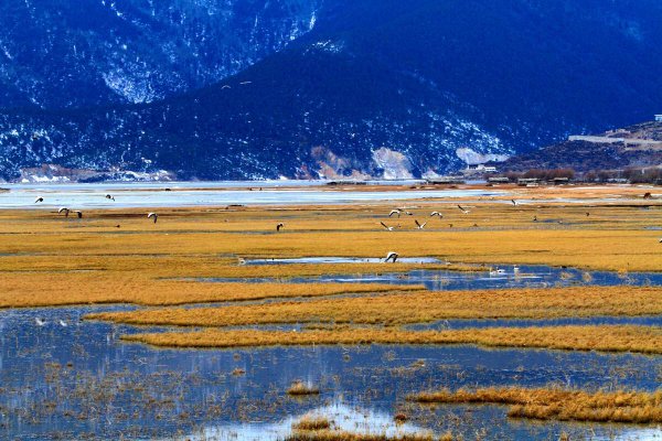 国外旅游景点排行前十