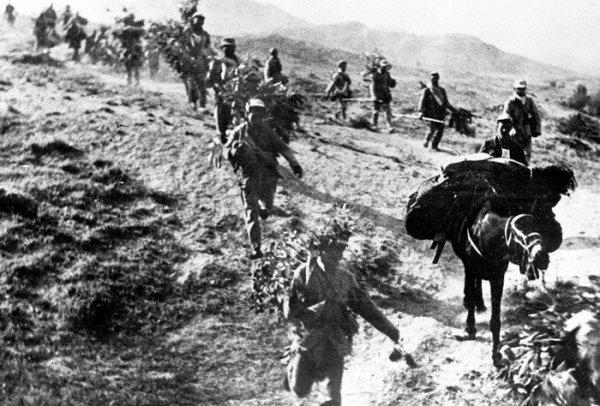 野战军是什么意思