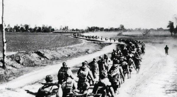 野战军是什么意思