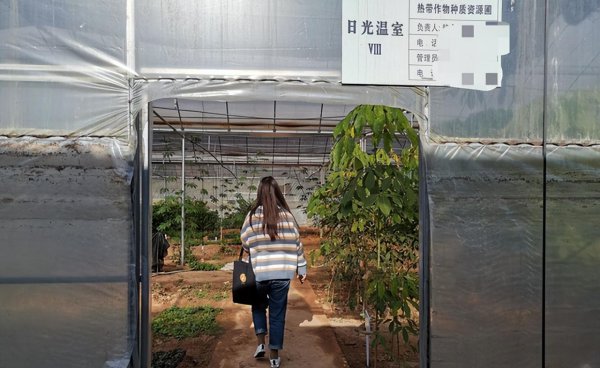 网红高校云南农业大学是几本学校