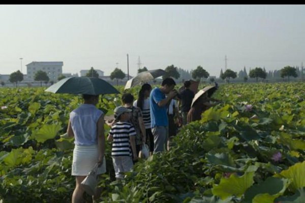 湖北仙桃市属于哪个省哪个市
