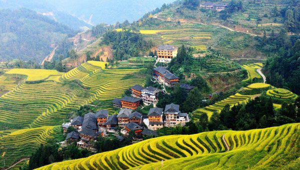 广西是省还是自治区