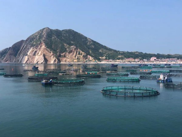 世界海洋日是几月几日