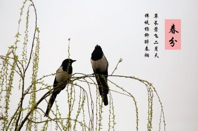 春分活动都有什么 春分的寓意和传统风俗活动介绍