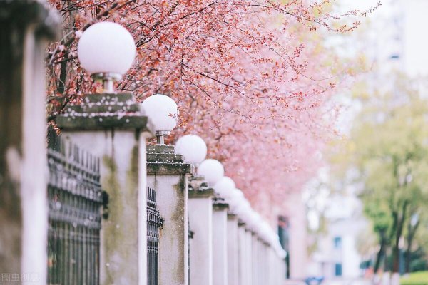 春分活动都有什么