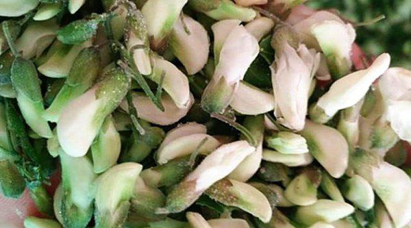 洋槐花如何长期保鲜储存