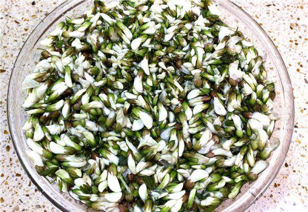 洋槐花如何长期保鲜储存