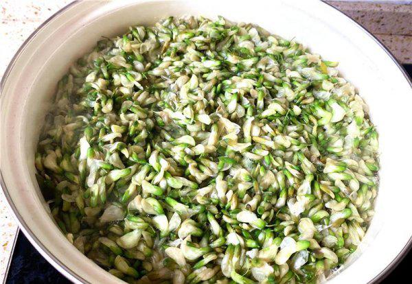 洋槐花如何长期保鲜储存