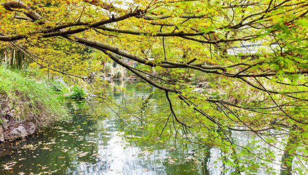 杭州在哪里的城市