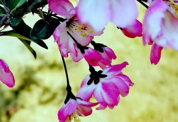 四月份是什么季节