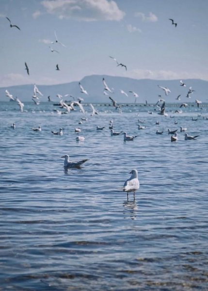 度蜜月去哪里旅游好