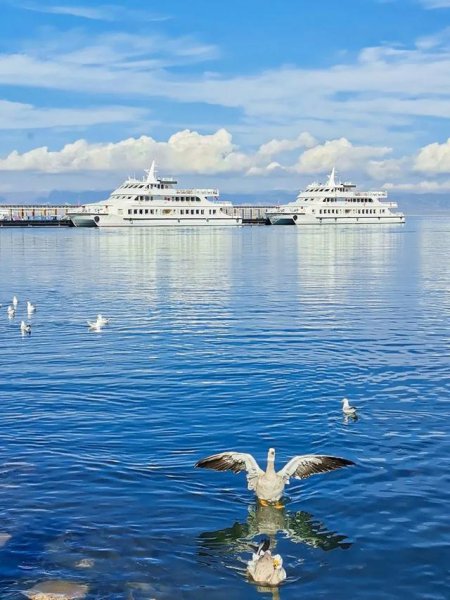 度蜜月去哪里旅游好